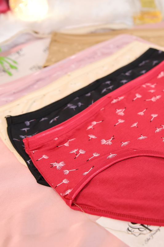 SP Printed Cotton Bikini Panty Pack Of 3 - 0024